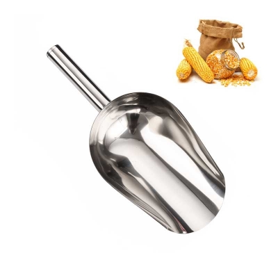 Food Scoop