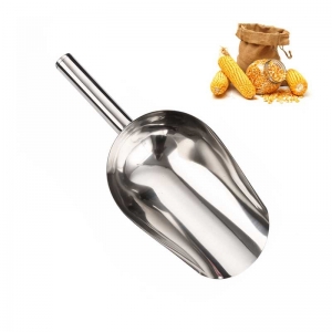 Food Scoop