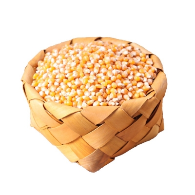 Mushroom Corn Kernels